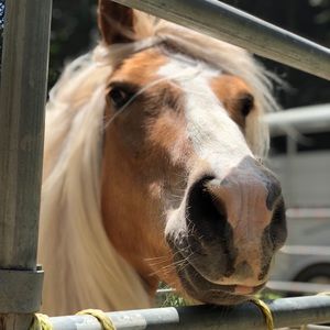 Meet your Posher, Sonia